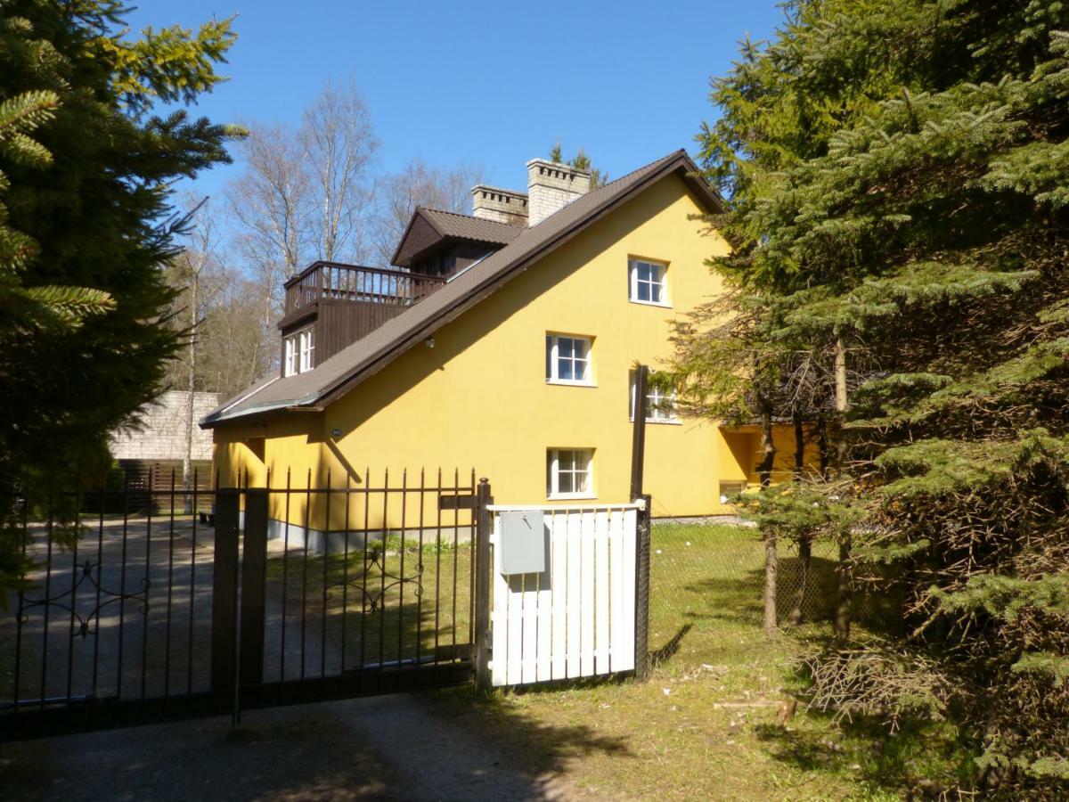 טאלין Viva Pirita Hostel מראה חיצוני תמונה
